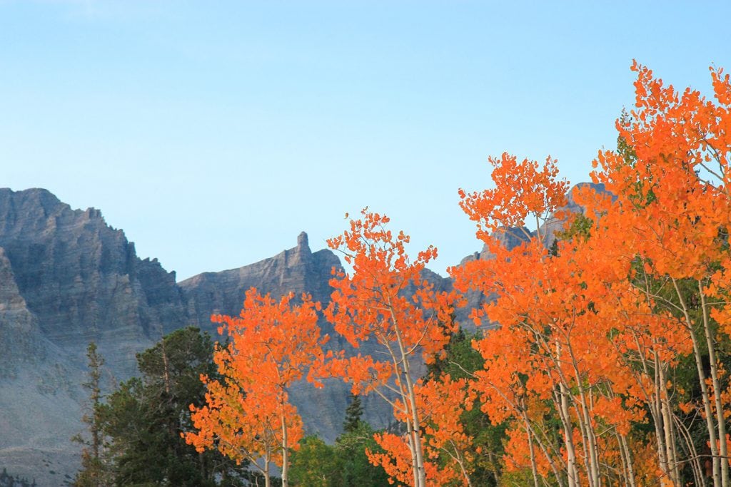 fall colors & mountains in Great Basin National Park in Nevada