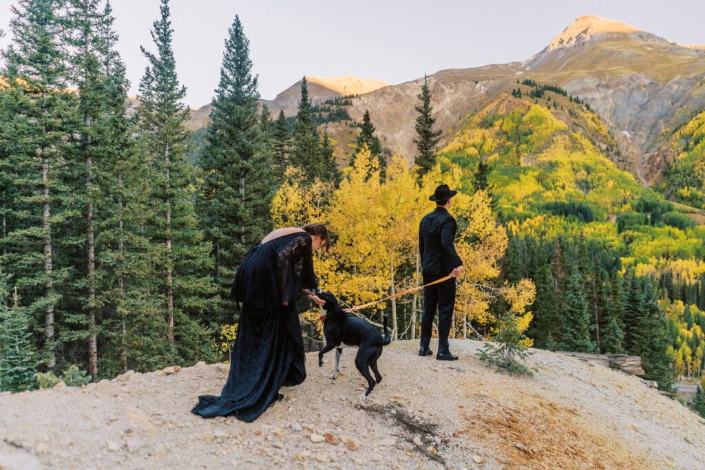 Dog has a first look with a bride during an elopement.