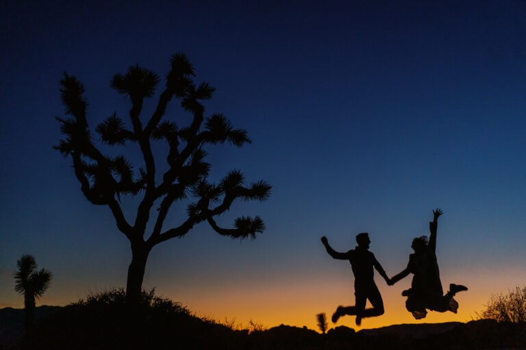 Bride and groom celebrate by jumping in the air at sunset near a Joshua Tree.