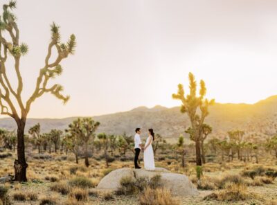 The Joshua Tree Wedding & Elopement Guide – Everything You Wanted to Know!