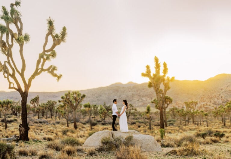 The Joshua Tree Elopement Guide – Everything You Wanted to Know!