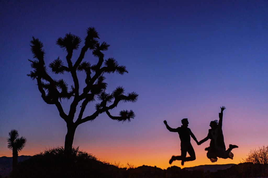 Bride and groom jumping up and down celebrating their elopement in Joshua Tree National Park in California.