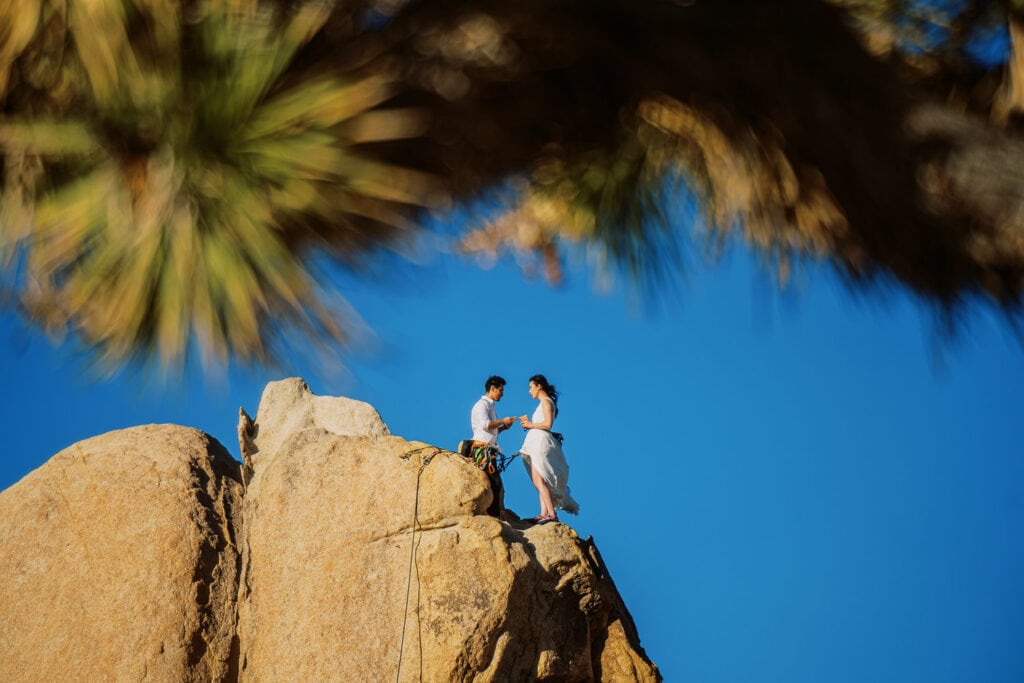 Climbing couple has a wedding ceremony on top of a rock in Joshua Tree.