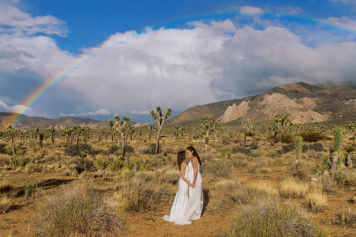 Joshua Tree LGBTQ+ gay Wedding with two brides under a rainbow.